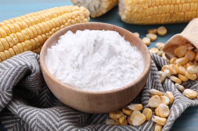 Does Cornstarch Kill Fleas? Vet-Reviewed Effectiveness Info & Alternatives