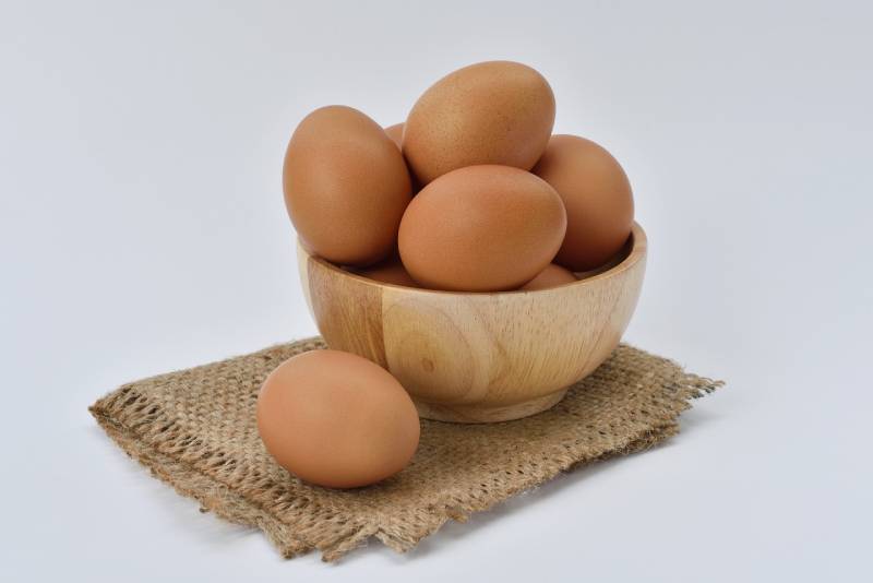 How to Cook Eggs for Dogs: 3 Vet-Approved Recipes & Safety Guide