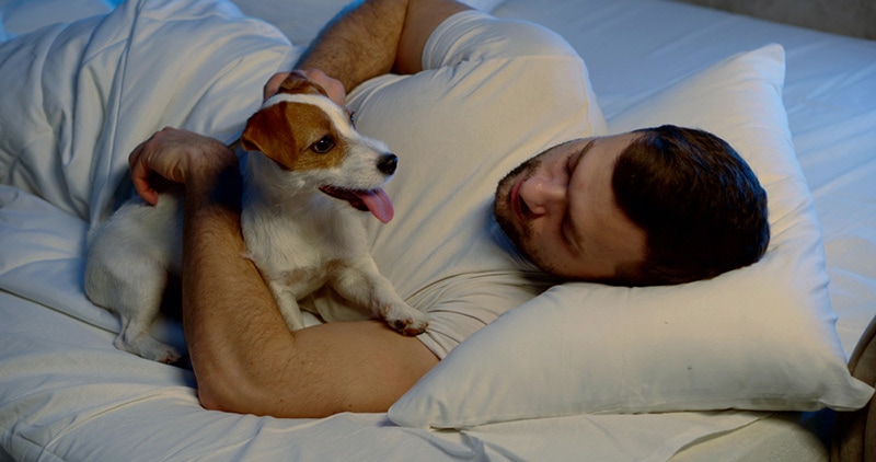 My Dog Is Pacing at Night: Vet Reviewed Causes & Risks