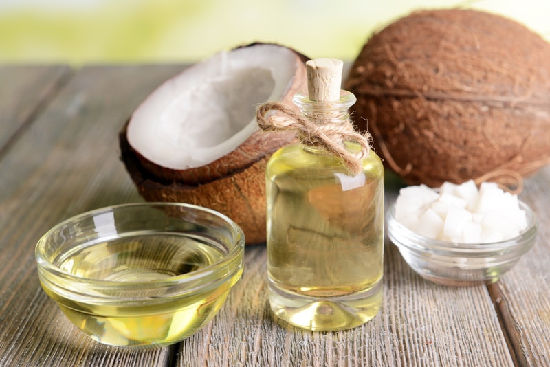 Benefits of Coconut Oil for Dogs: Vet Explains the Uses, Risks, & FAQ