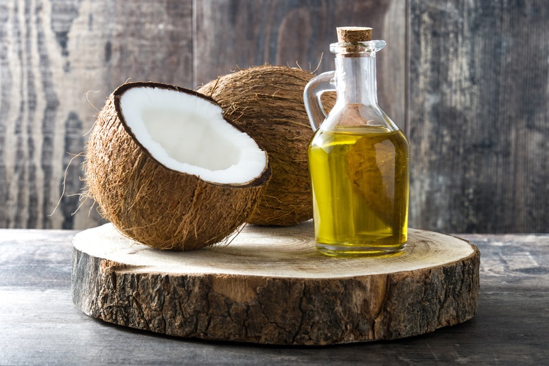 Is Coconut Oil Safe for Dogs? Our Vet Explains