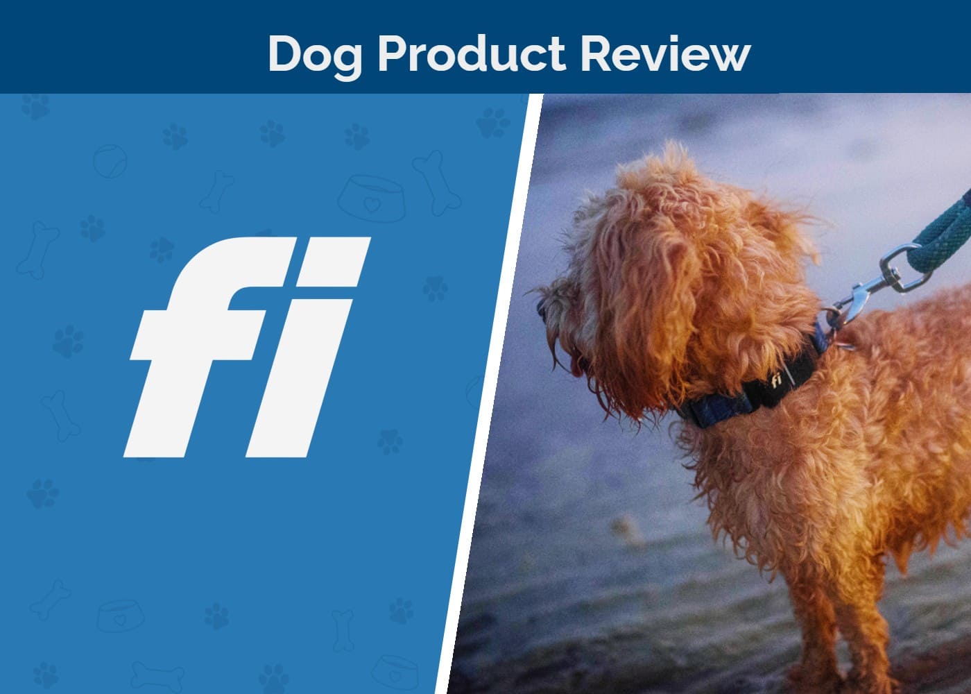 Fi Collar Series 3 Dog Product Review 2026: Pros, Cons & Final Verdict