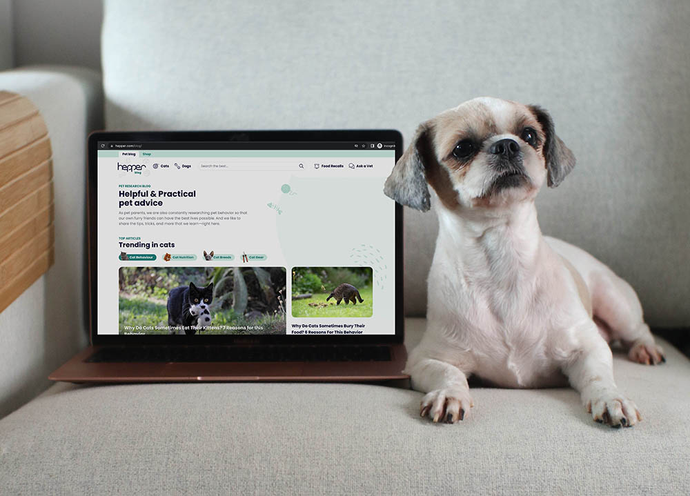 15 Top Dog Blogs You Should Know in 2026