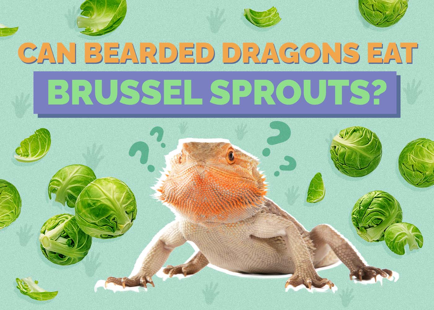 Can Bearded Dragons Eat Brussels Sprouts? Vet-Reviewed Facts & FAQ