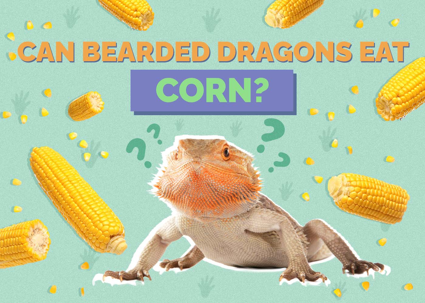 Can Bearded Dragons Eat Corn? Vet Approved Nutrition Facts & FAQ