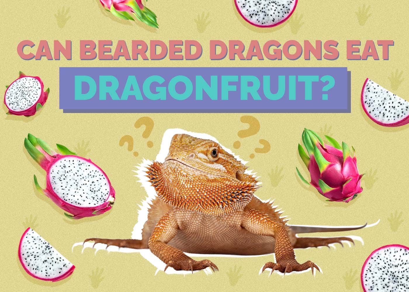 Can Bearded Dragons Eat Dragon Fruit? Vet-Approved Benefits, Preparation, & FAQ