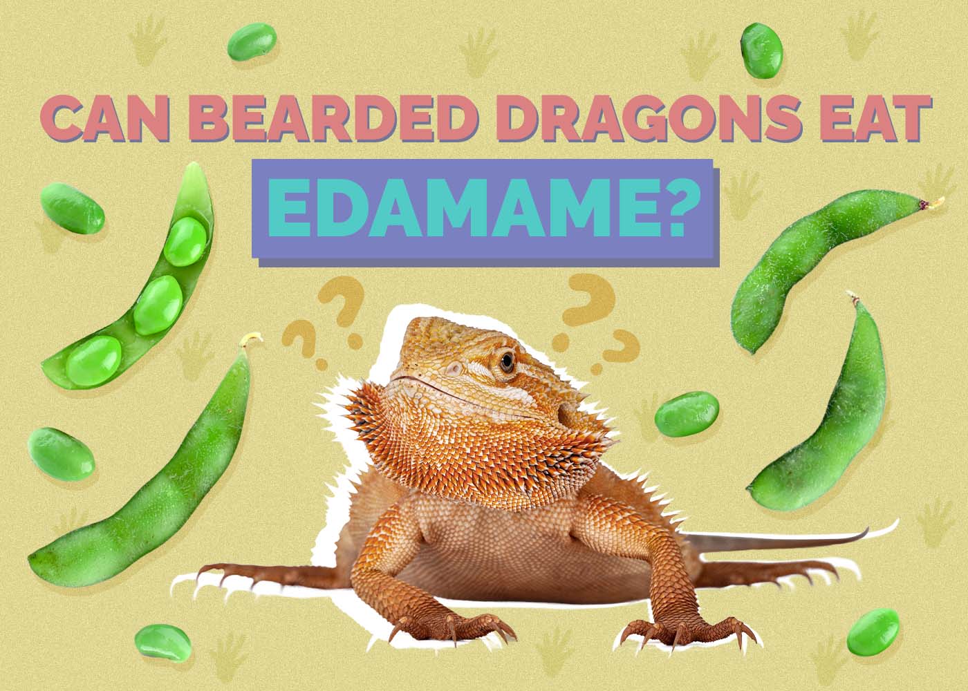 Can Bearded Dragons Eat Edamame? Vet-Reviewed Facts & Tips