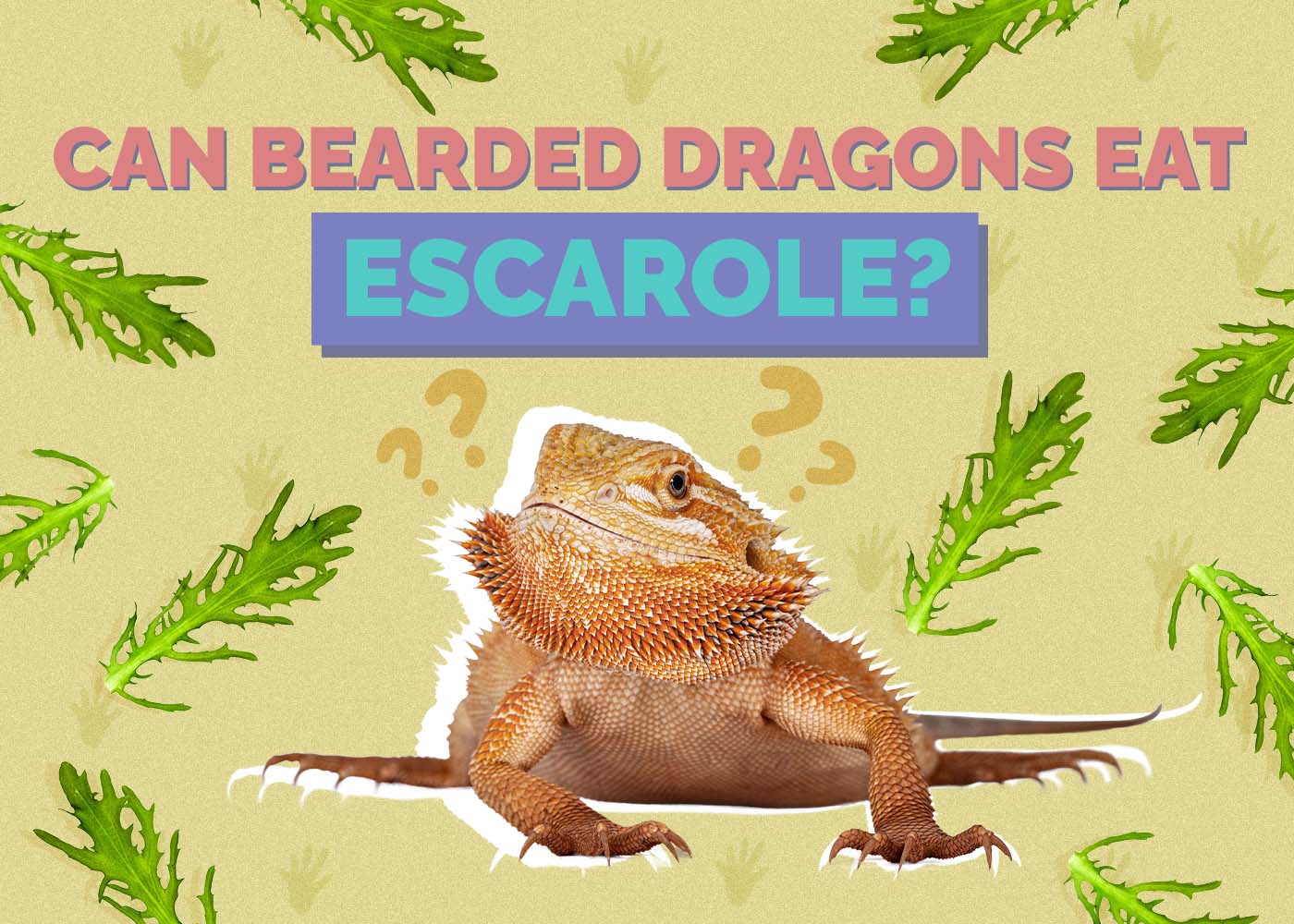 Hepper_Can Bearded Dragons Eat_Escarole