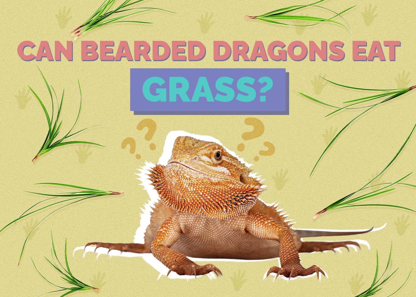 Can Bearded Dragons Eat Grass? Vet-Approved Facts, Diet, & Risks