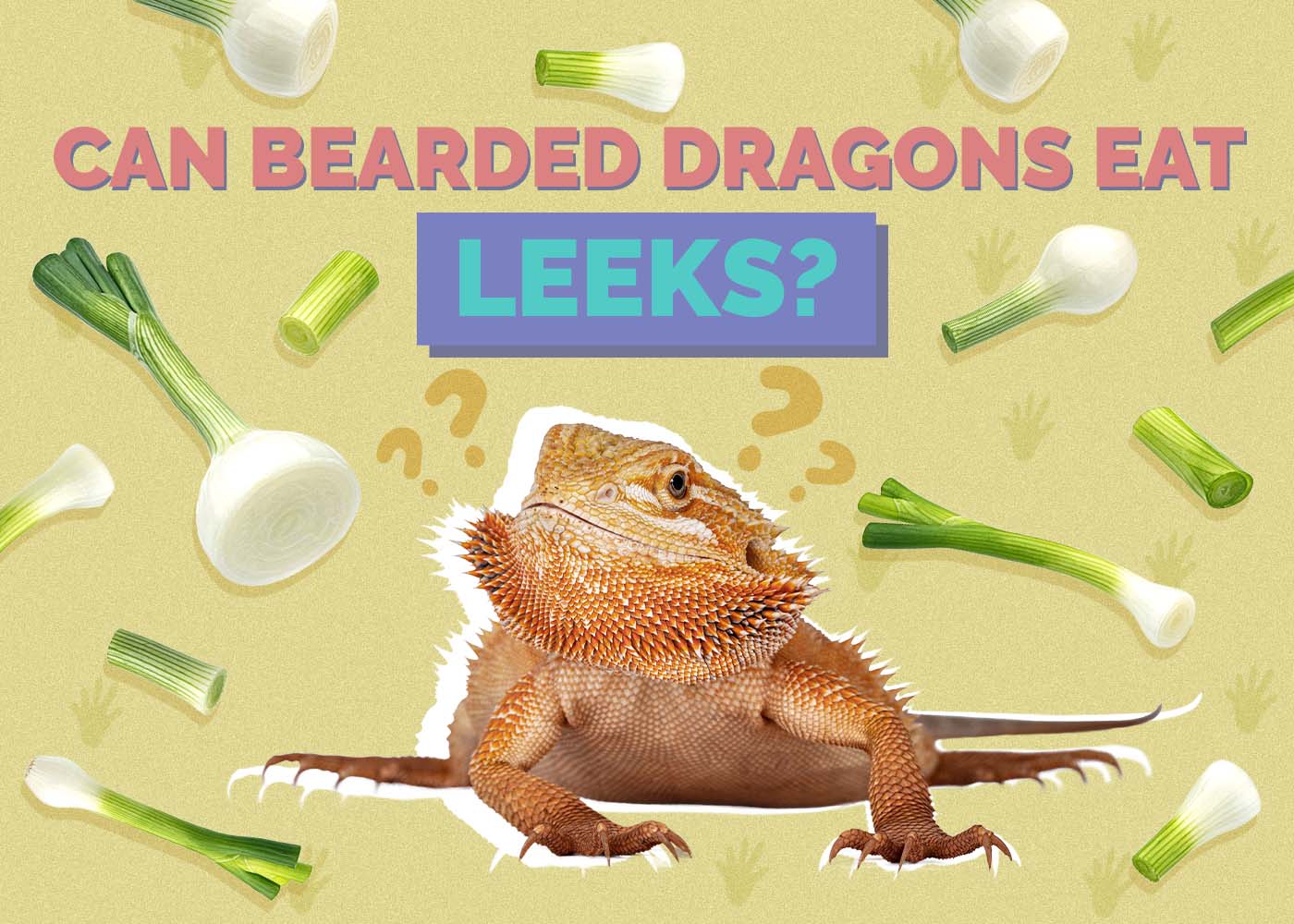 Can Bearded Dragons Eat Leeks? Vet-Approved Pros, Cons & Tips