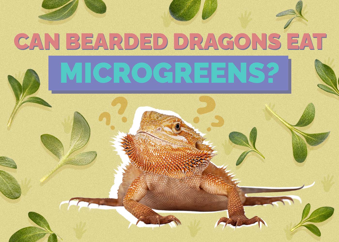 Can Bearded Dragons Eat Microgreens? Vet Approved Nutrition Facts