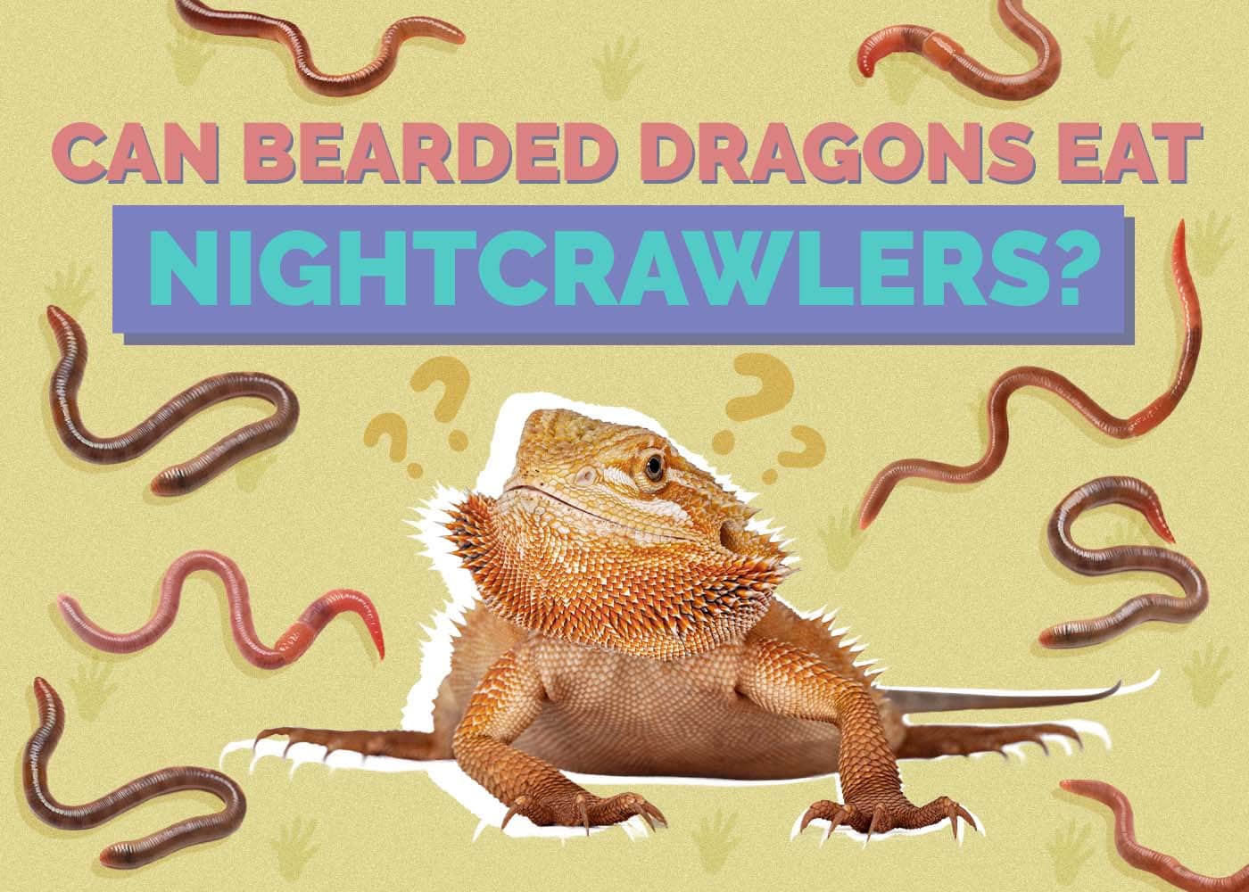 Can Bearded Dragons Eat Nightcrawlers? Vet-Reviewed Nutrition Facts & FAQ