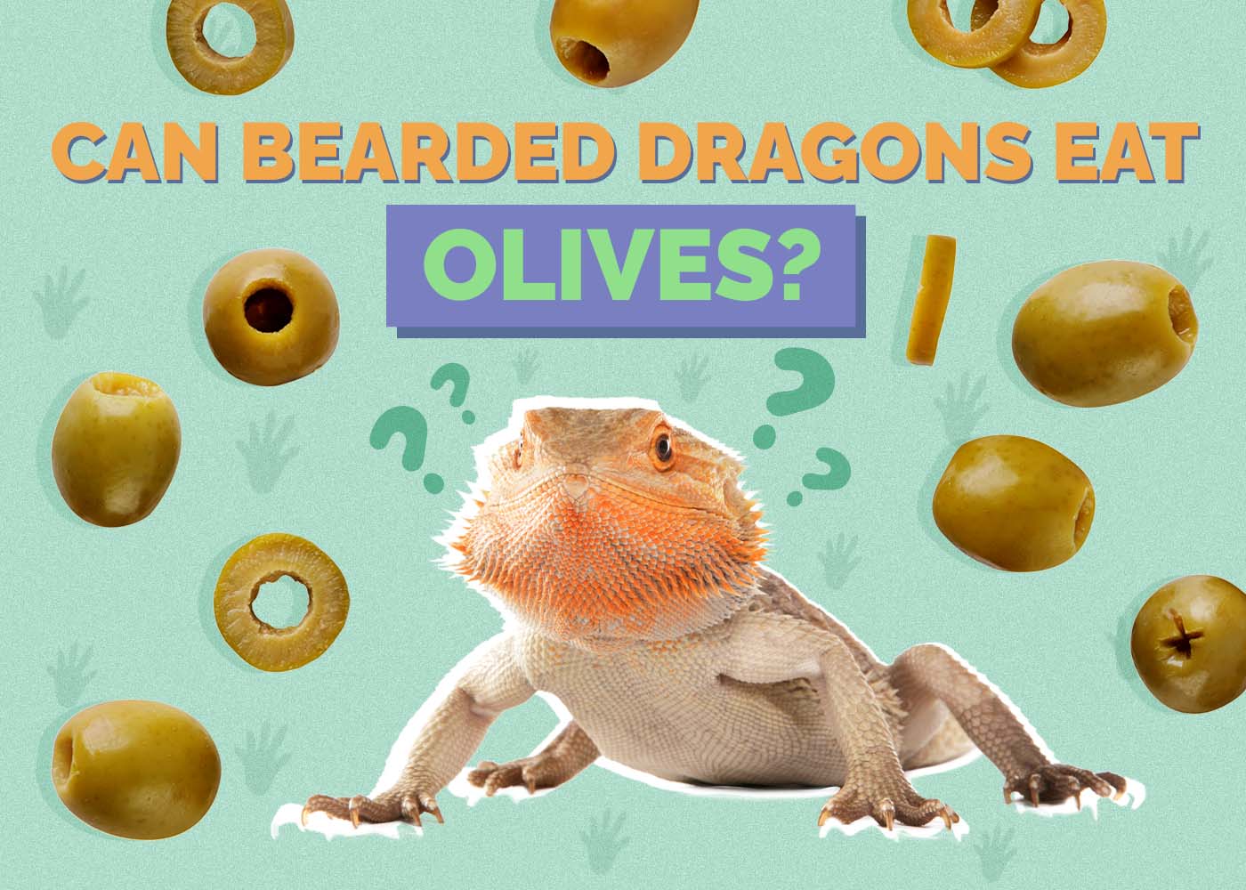 Can Bearded Dragons Eat Olives? Vet-Approved Feeding Facts