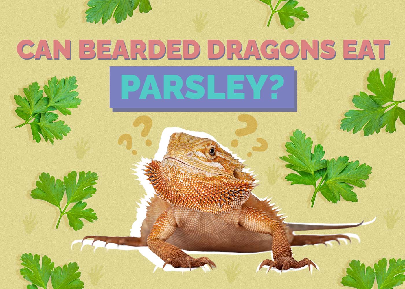 Can Bearded Dragons Eat Parsley? Our Vet Approved Advice