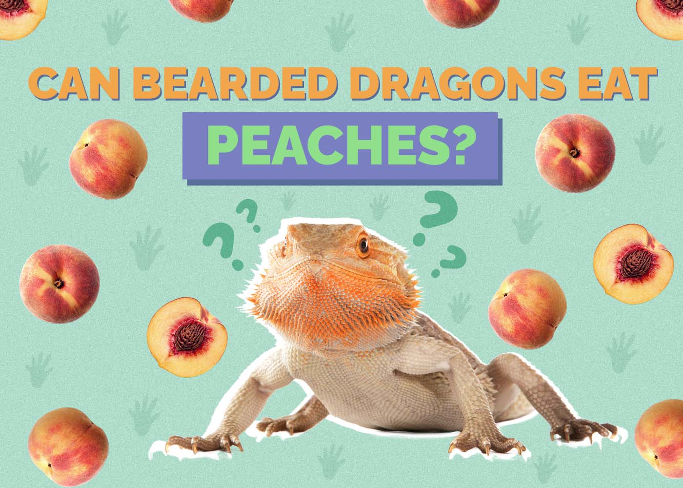 Can Bearded Dragons Eat Peaches? Vet Approved Nutrition Facts