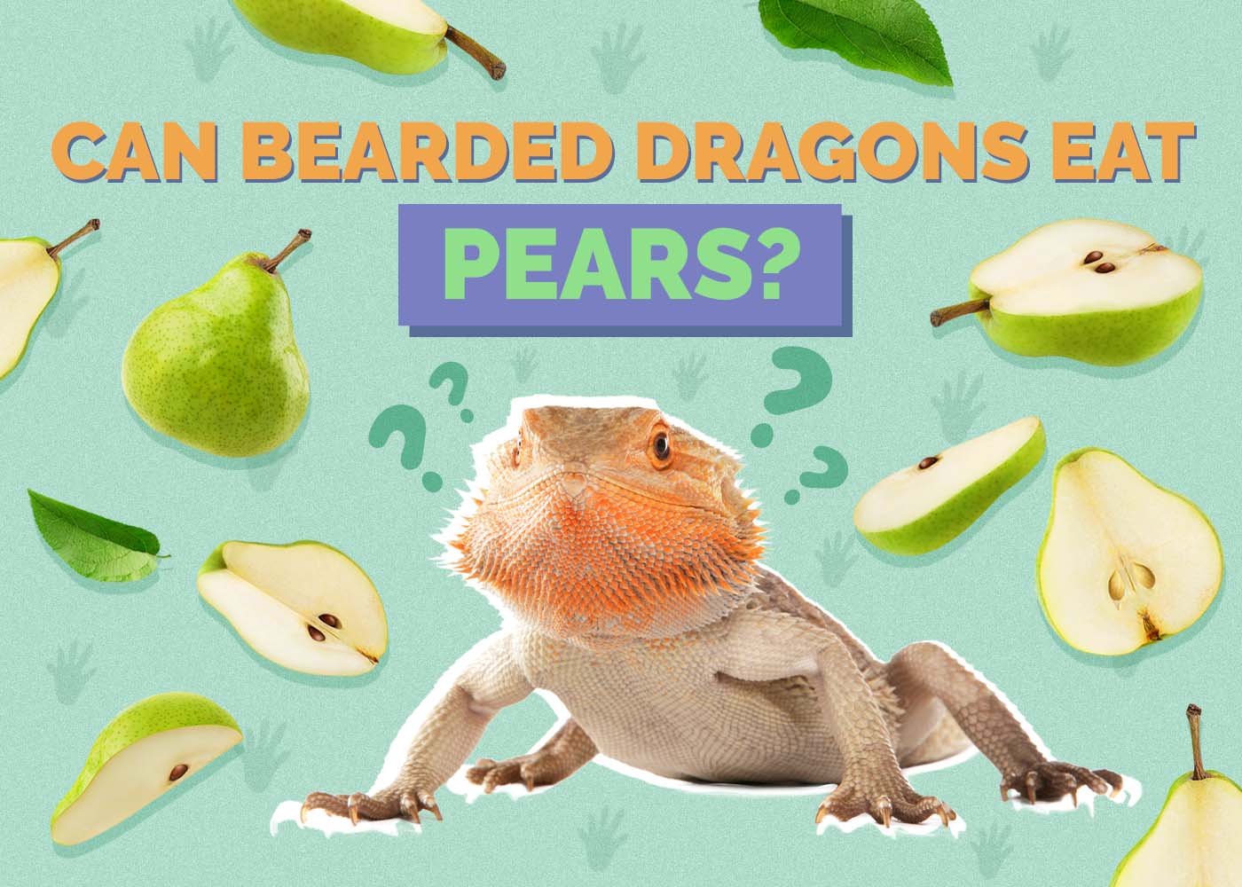 Can Bearded Dragons Eat Pears? Vet Approved Facts & FAQ