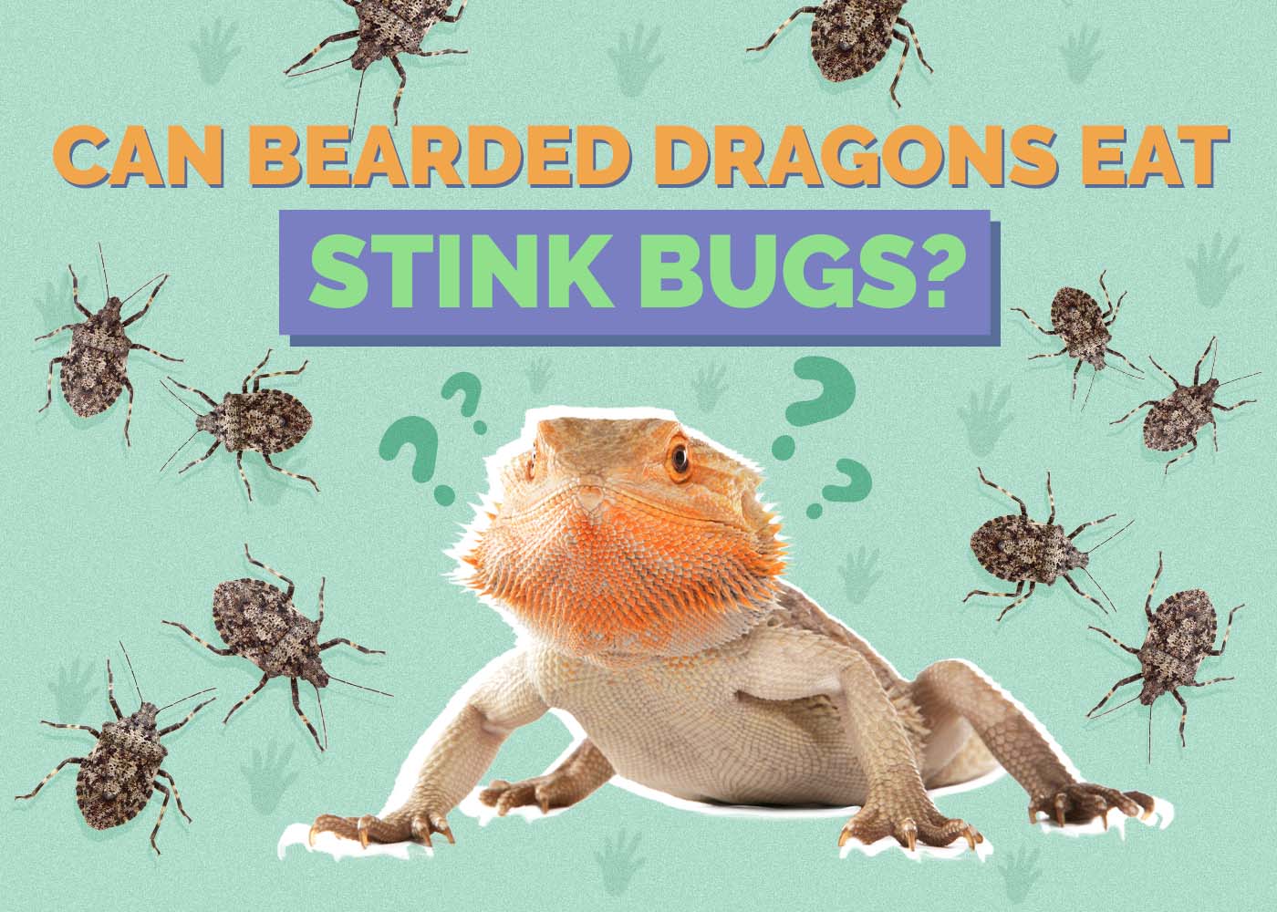 Can Bearded Dragons Eat Stink Bugs? Vet-Reviewed Safety Facts