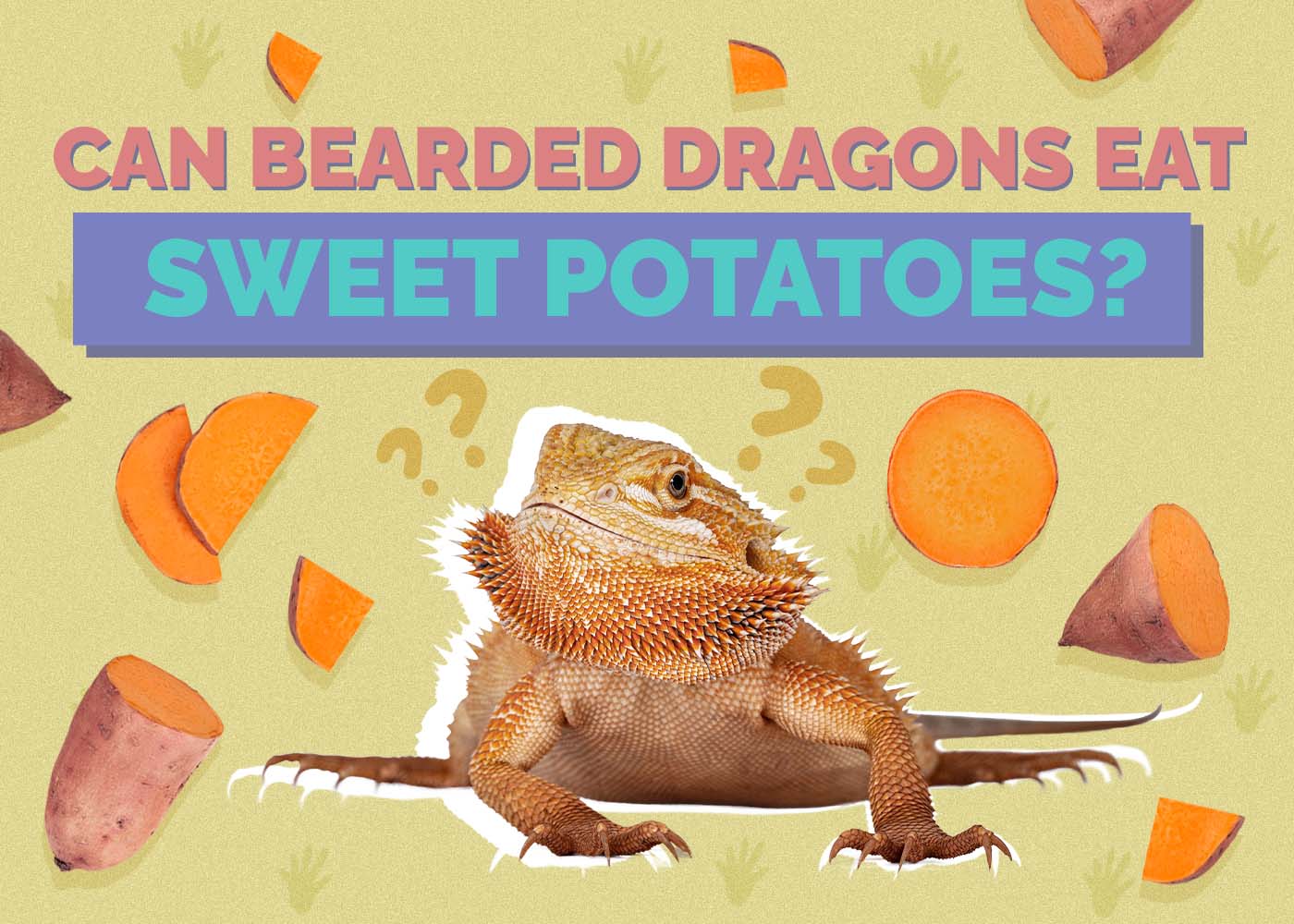 Can Bearded Dragons Eat Sweet Potatoes? Vet-Approved Facts & FAQ