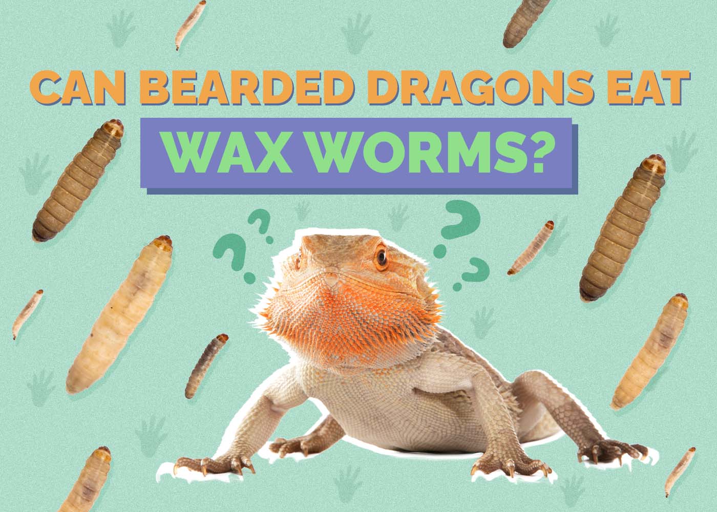 Can Bearded Dragons Eat Wax Worms? Vet-Approved Nutrition & Alternatives