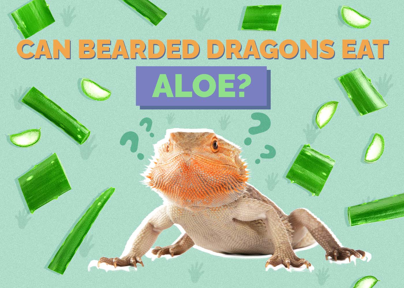 Can Bearded Dragons Eat Aloe? Vet-Reviewed Nutrition Facts