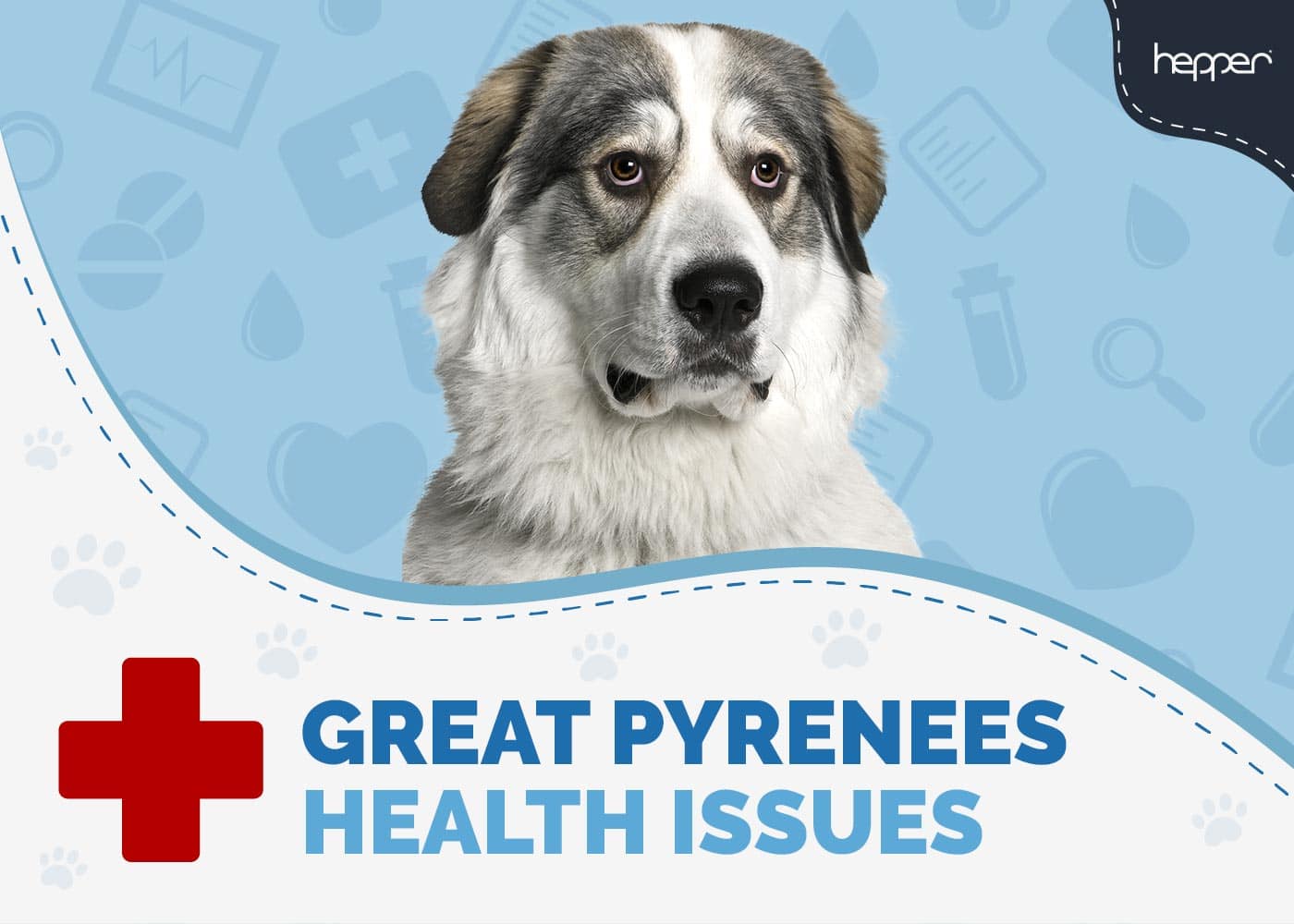 6 Great Pyrenees Health Problems to Watch For (Vet Answer)