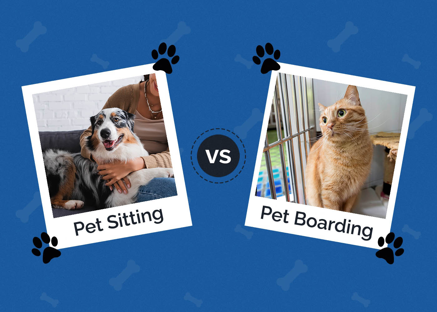 Pet Sitting vs Boarding: Pros, Cons & Differences Explained