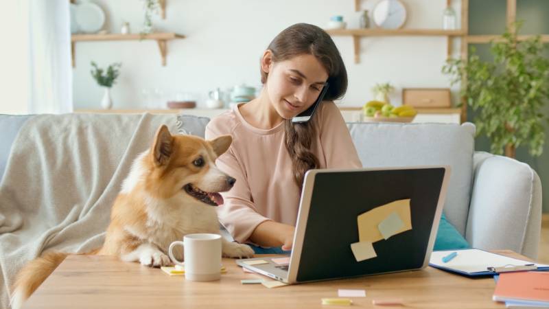 How to Prove Ownership of a Dog: Custody Dispute & Stolen Dog Laws