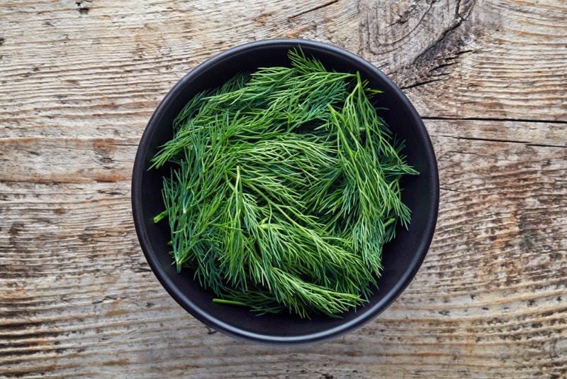 12 Herbs That Are Safe for Cats (Vet Answer)