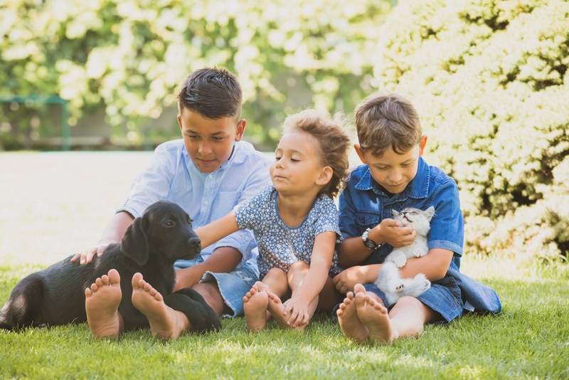 When Is National Pet Day 2026? History & How to Celebrate It