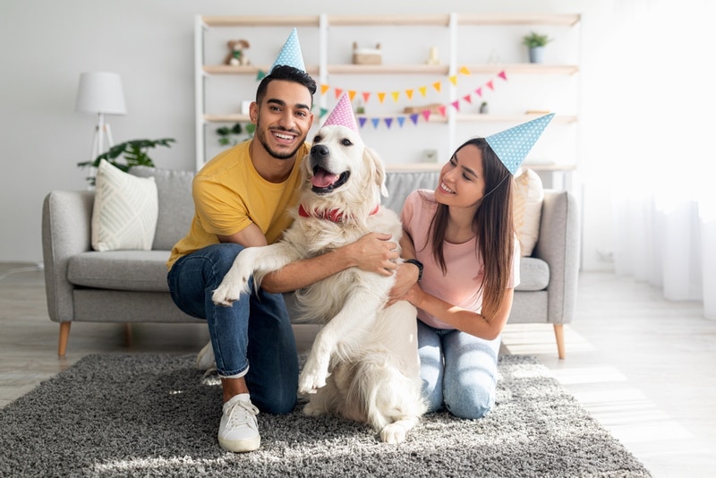13 Dog Birthday Party Themes to Try (With Pictures)