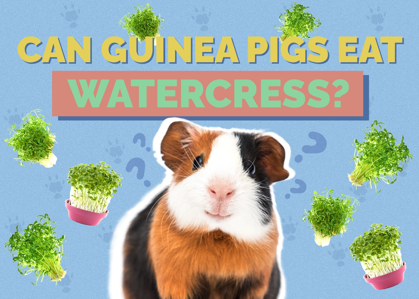 Can Guinea Pigs Eat Watercress? Vet-Approved Facts & Safety Guide