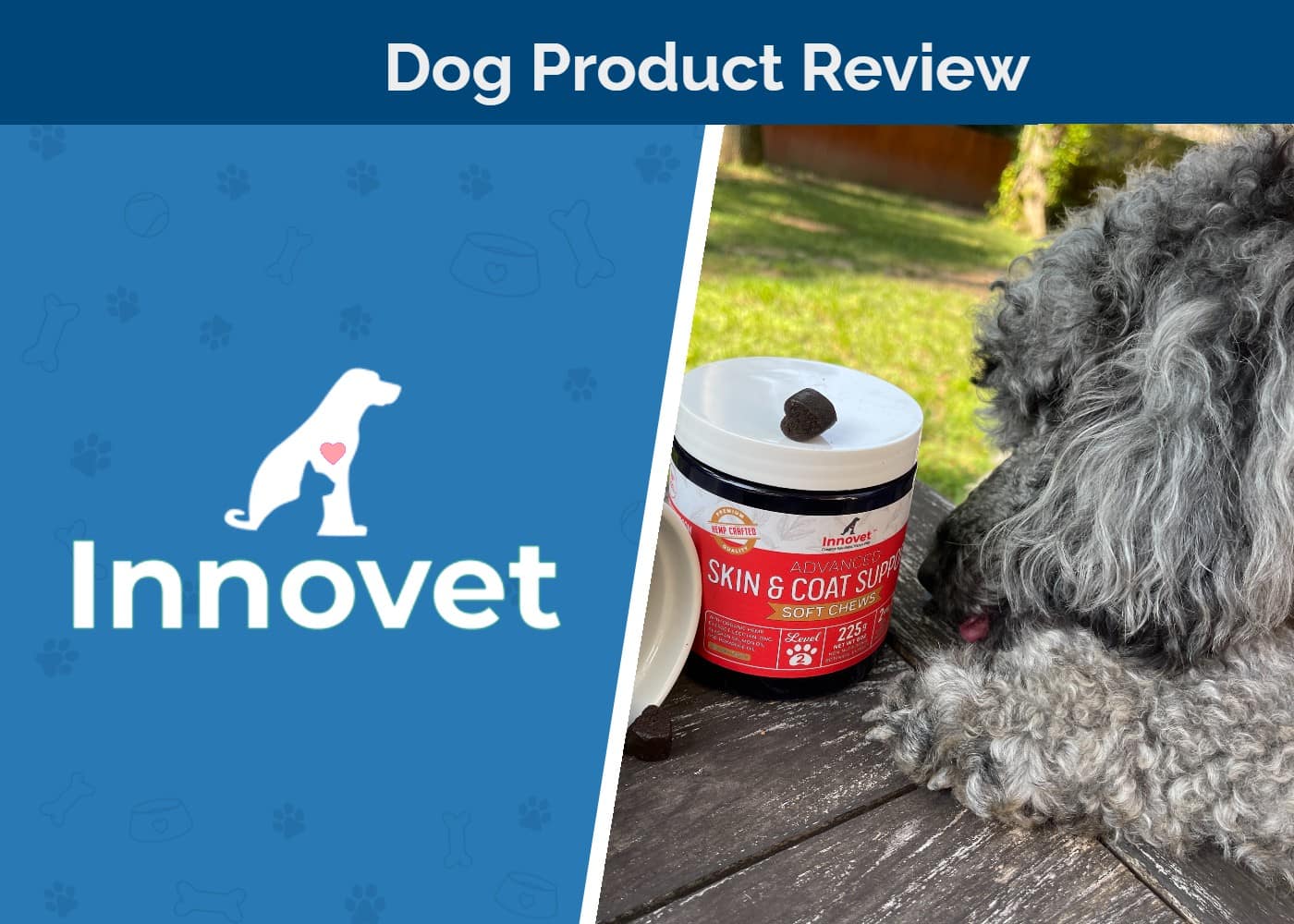 Innovet Advanced Skin & Coat Soft Chews Review 2026: Pros, Cons, & Verdict
