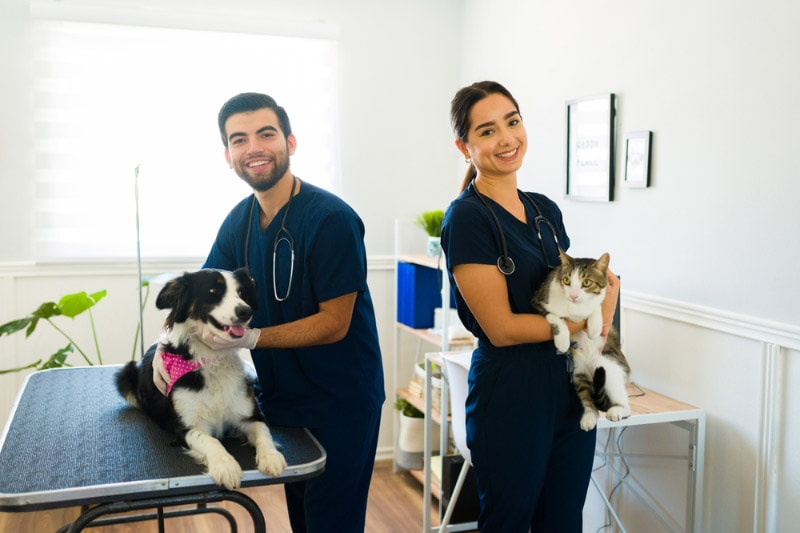 When Is Vet Nurse Day? 2026 Update & How to Celebrate (Vet-Verified)