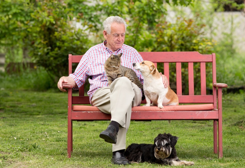 National Therapy Animal Day: When It Is & How Its Celebrated