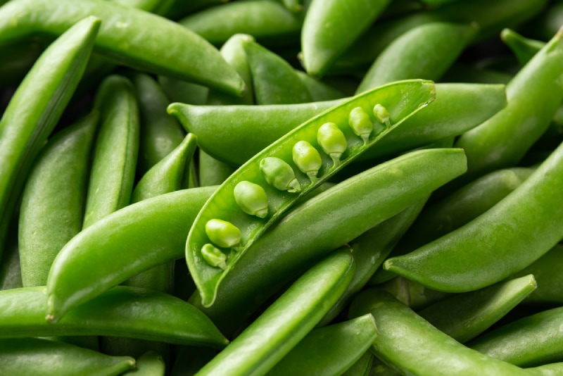 Can Dogs Eat Sugar Snap Peas? Nutrition Facts & Guide