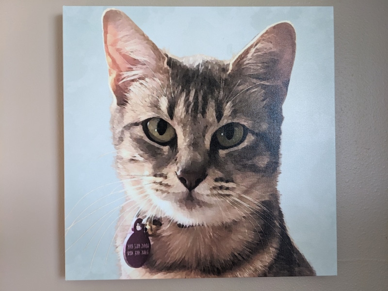 satura's portrait by canvaspop