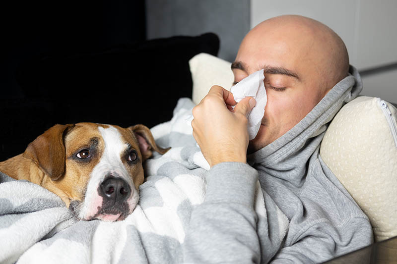 Can Dogs Get Sick from Humans? Our Vet Explains