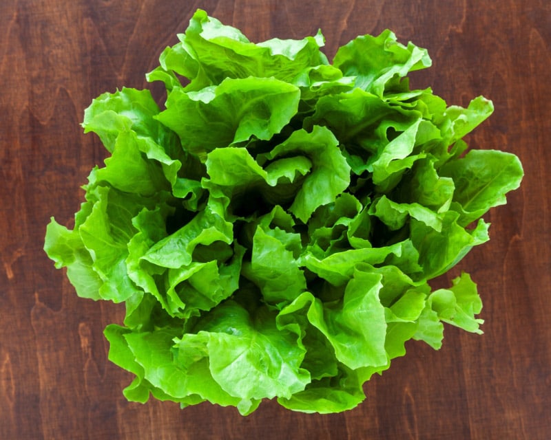top view of escarole leaves