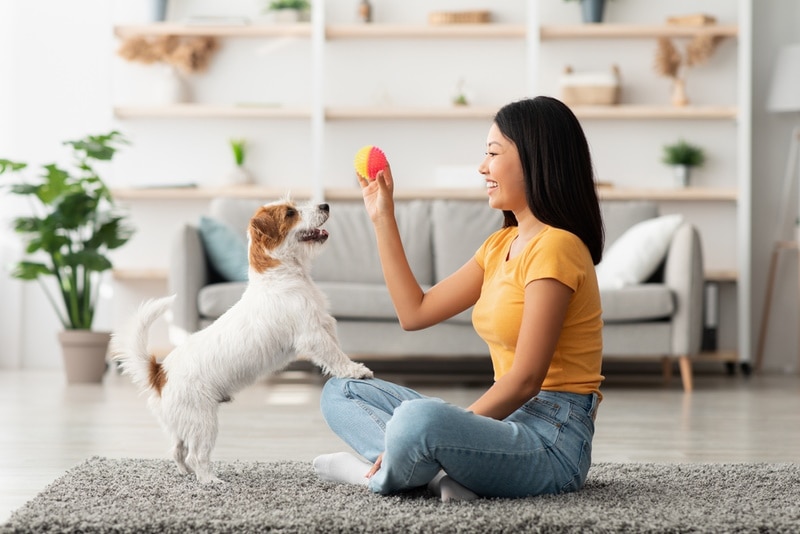 Why Does My Dog Love Balls? Vet-Verified Reasons, Training Tips, & FAQ