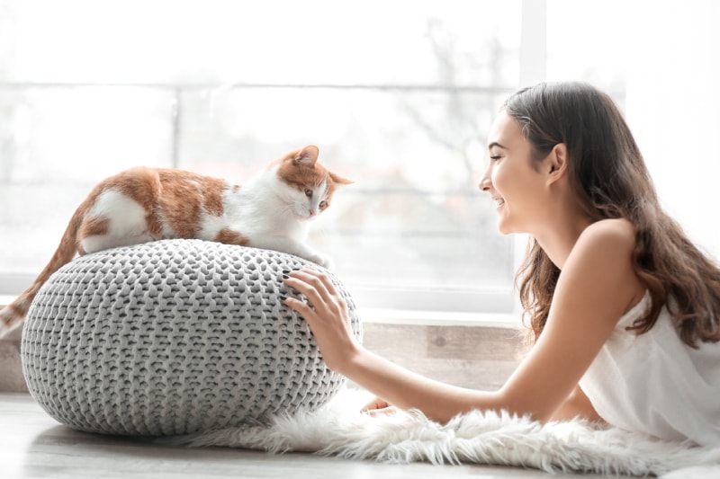 10 Great Cat Breeds For Emotional Support (With Info & Pictures)