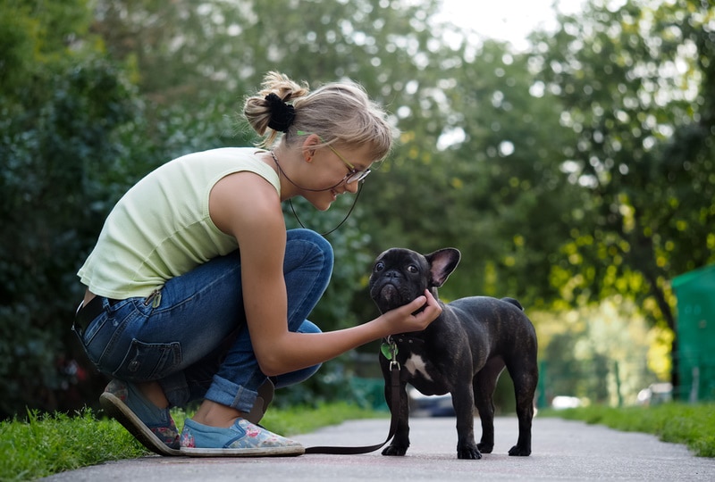 How to Pick Up a French Bulldog: 10 Vet-Approved Tips & Tricks