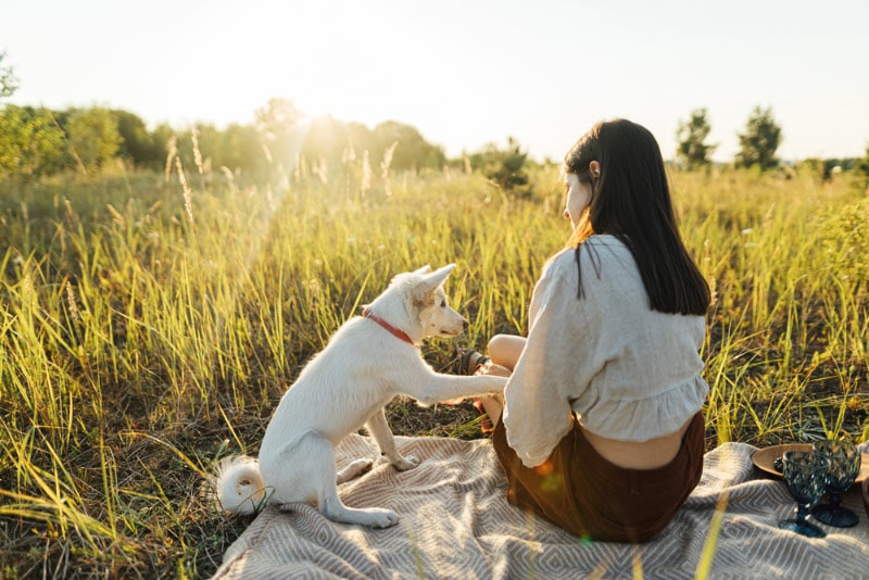young woman having a picnic with her dog in the meadow
