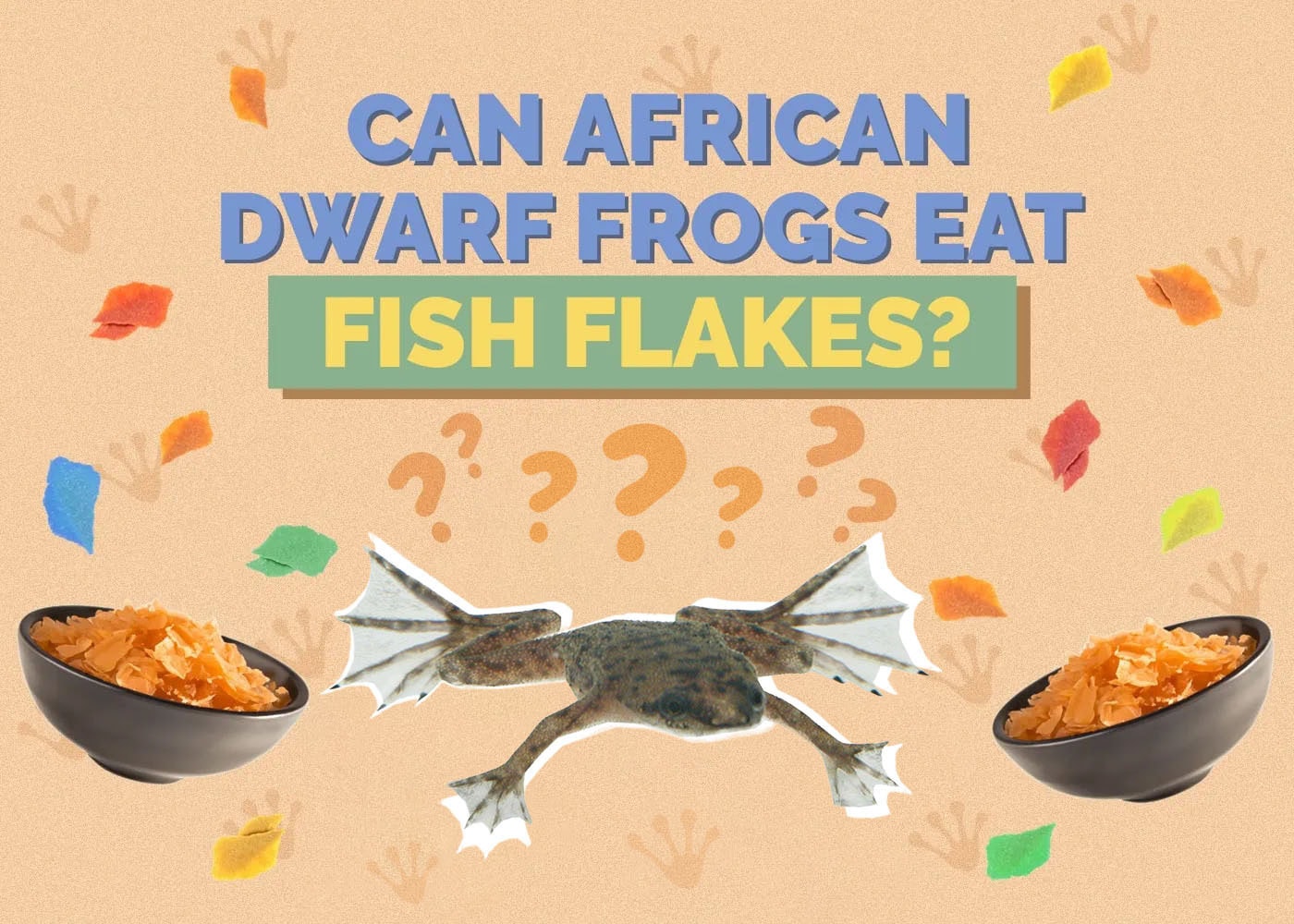 Can African Dwarf Frogs Eat Fish Flakes? Vet-Approved Facts & FAQ
