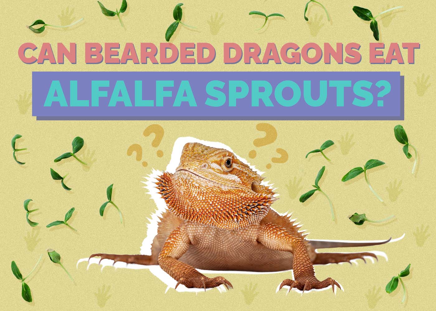 Can Bearded Dragons Eat Alfalfa Sprouts? Vet-Approved Nutritional Facts & FAQ