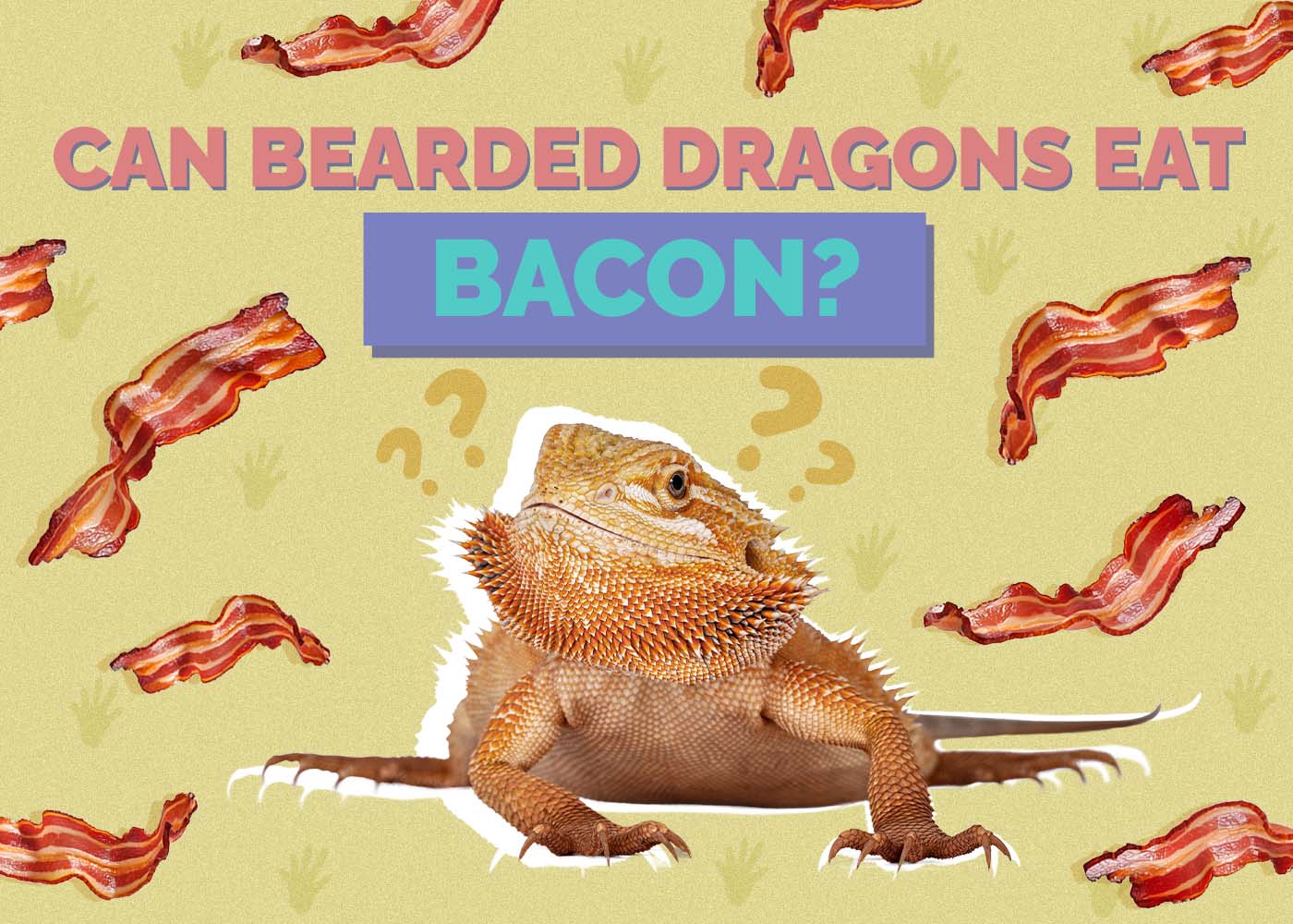 Can Bearded Dragons Eat Bacon? Vet Approved Facts & FAQ