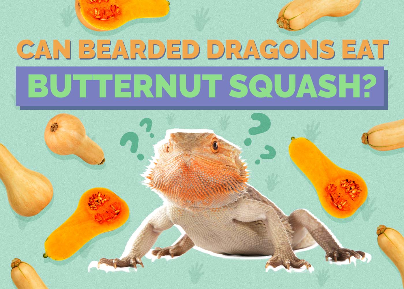 Can Bearded Dragons Eat Butternut Squash? Vet-Approved Facts & FAQ