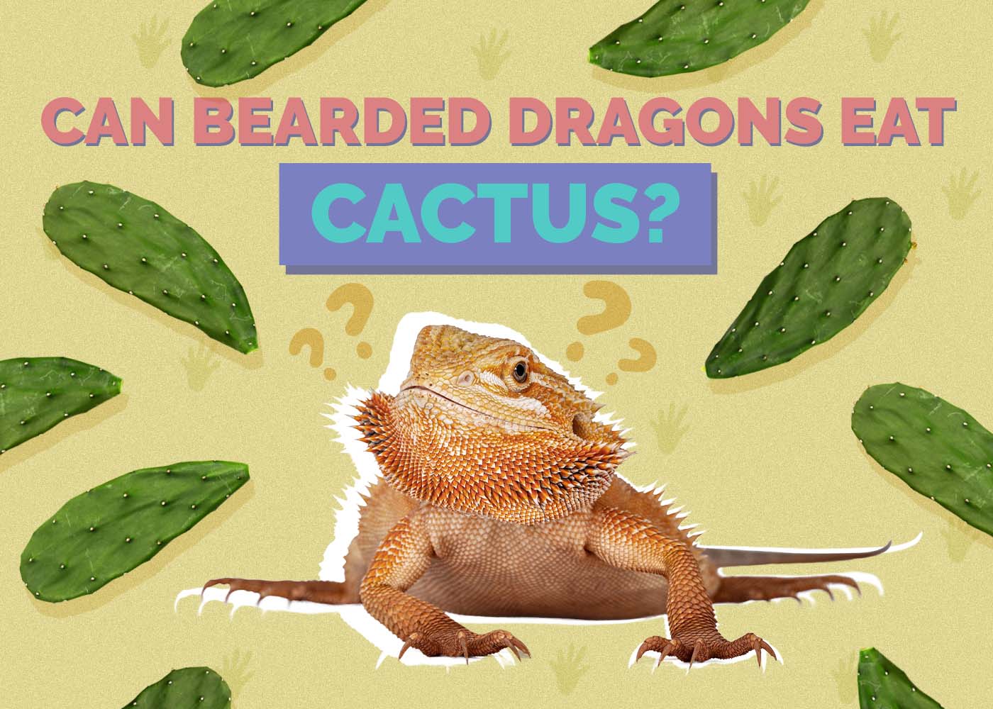 Can Bearded Dragons Eat Cactus? Vet-Approved Facts & FAQ