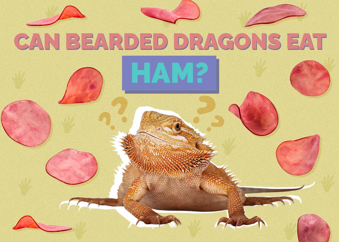 Can Bearded Dragons Eat Ham? Vet-Approved Risks & Alternatives