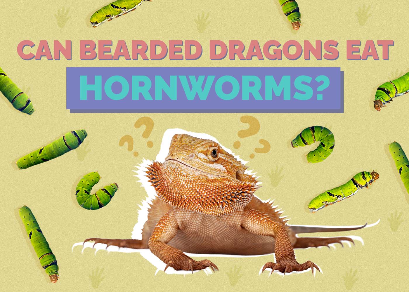 Can Bearded Dragons Eat Hornworms? Vet-Approved Nutrition Guidelines