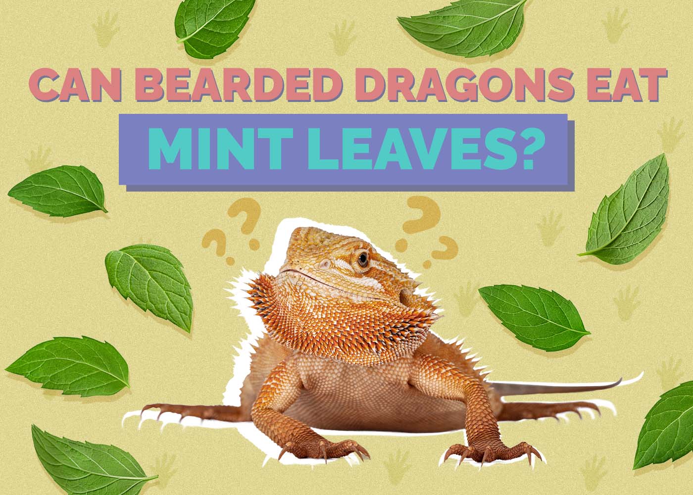 Can Bearded Dragons Eat Mint Leaves? Vet-Reviewed Nutrition Facts & FAQ